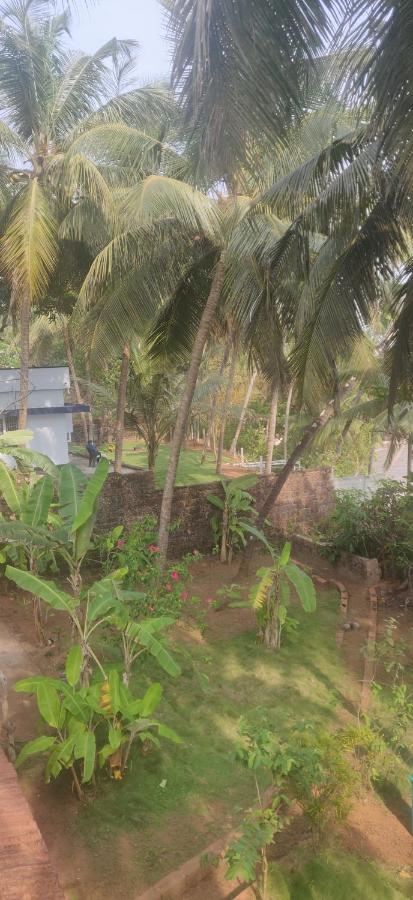 Perch By The Sea Bed & Breakfast Kannur Bagian luar foto