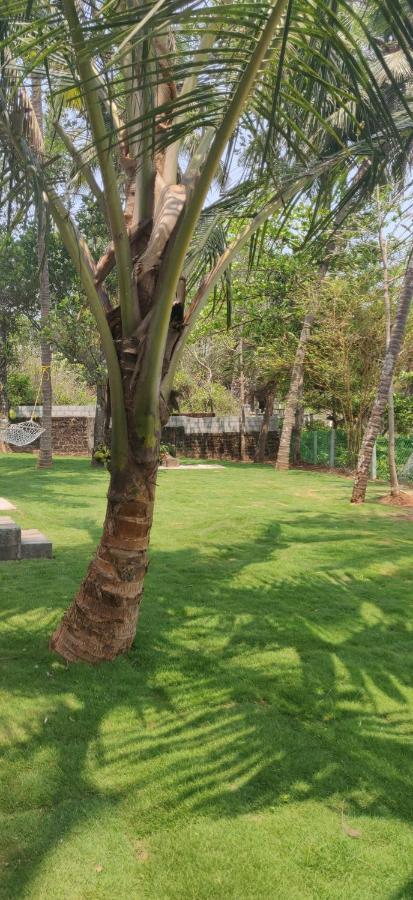 Perch By The Sea Bed & Breakfast Kannur Bagian luar foto