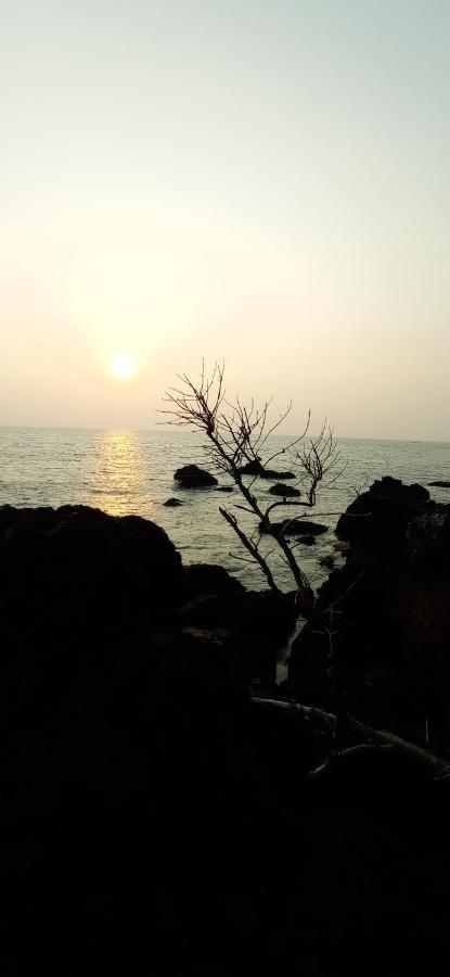 Perch By The Sea Bed & Breakfast Kannur Bagian luar foto